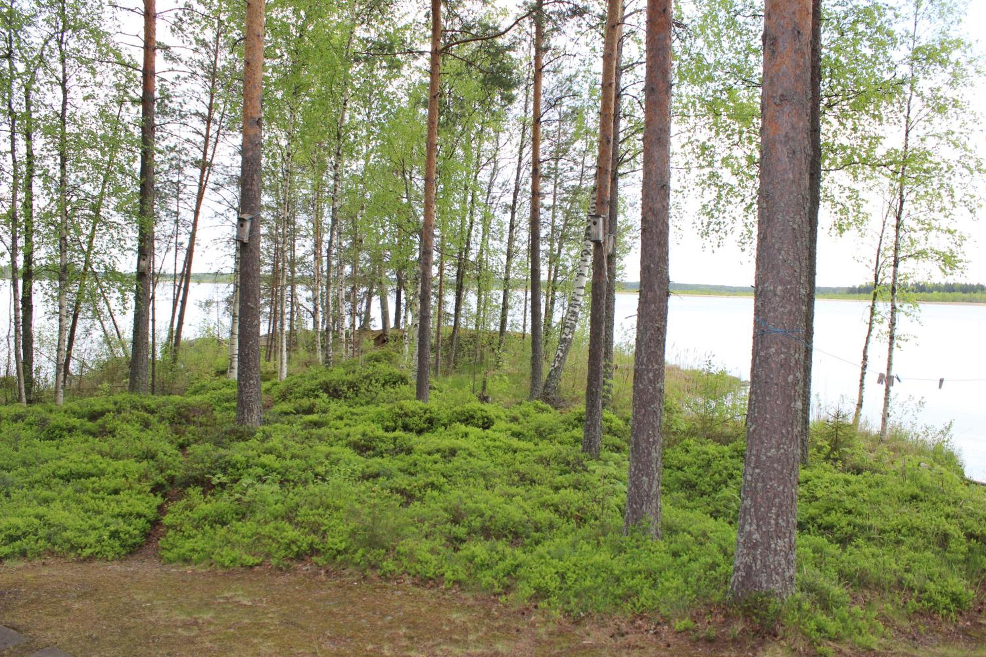 Lomamokkila Cottages Savonlinna Kamer foto